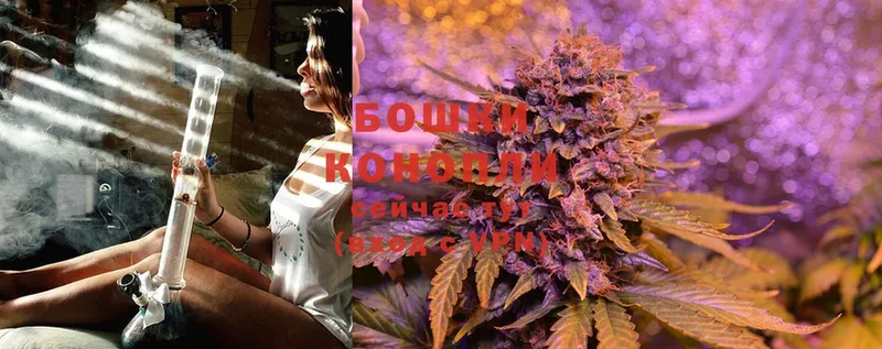 Бошки Шишки THC 21%  закладки  Белореченск 